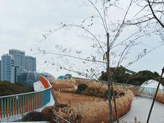 -北外滩滨江绿地