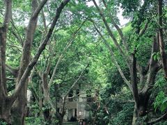 -马峦山郊野公园