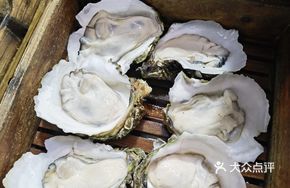 Large Oyster