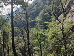 -王顺山国家森林公园
