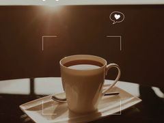 -震旦博物馆·A Cafe