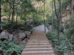 -大岭沟猕猴桃谷风景区