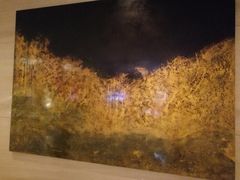 -上海雅居乐万豪侯爵酒店