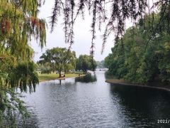 -上海共青森林公园