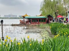 -老济南药膳把子肉(周公祠街店)