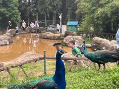 -昆明动物园