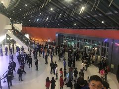 -成都金融城演艺中心