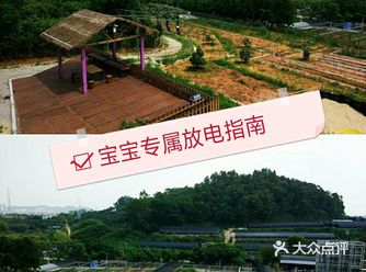 在这个炎炎夏日上半年已经接近尾声了，宝妈们有没有想跟
