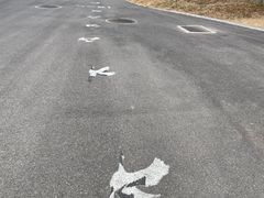 -盐城丹顶鹤湿地生态旅游区