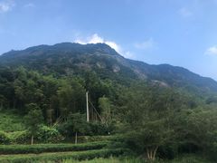-九鲤溪瀑景区