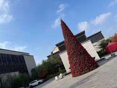 -上海崇明金茂凯悦酒店