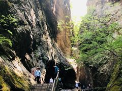 景点-牛背梁国家森林公园