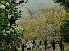 -苏州上方山国家森林公园