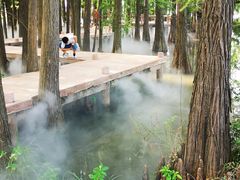 -东湖落雁景区