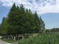 -尚贤河湿地