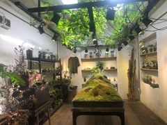 -植觉