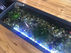 -红糖水都·女生特炖·中式滋补炖(北辰店)