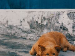 -西涌国际滨海旅游区