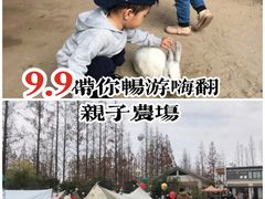 -前小桔亲子创意农场·草莓采摘·露营烧烤