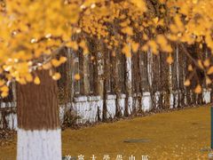 -辽宁大学(崇山校区)