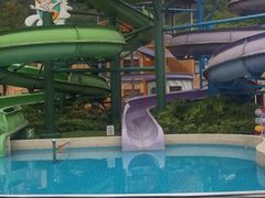 -重庆海昌加勒比海水世界