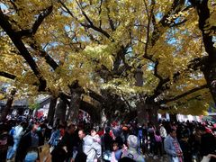 -浮来山风景区