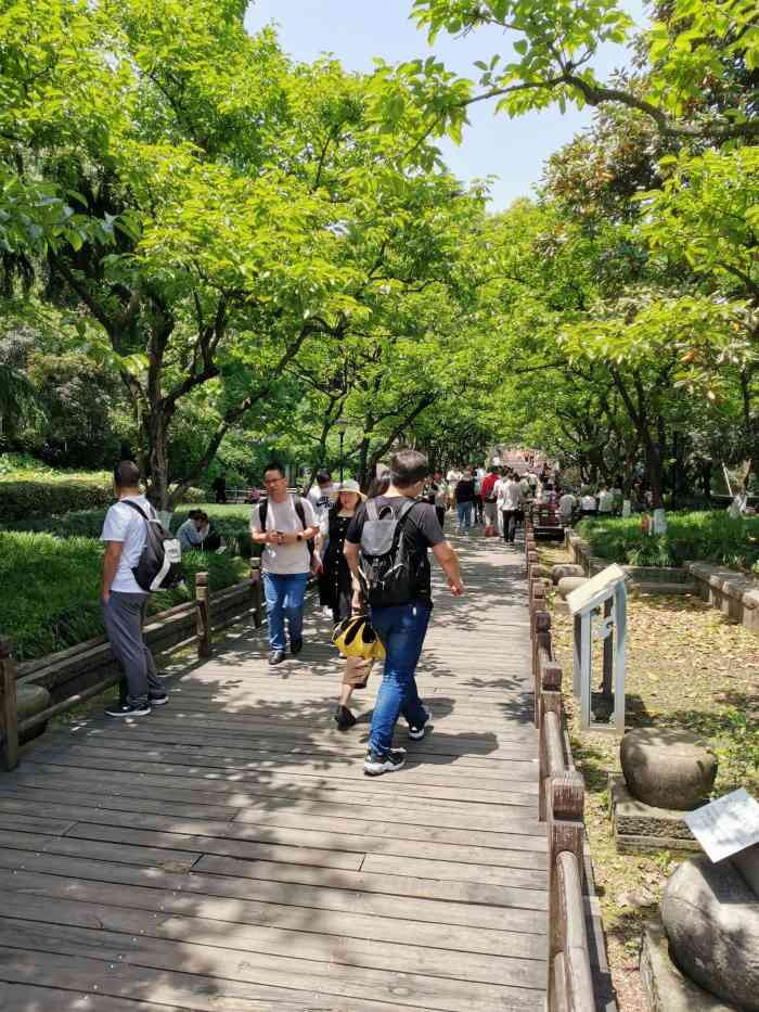 冬天來杭州正好遇上了一場大雪.雪後的中山公園太美了.