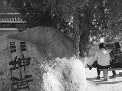 -特克斯八卦城