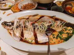 -丹江渔村(望京店)