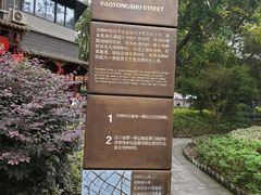 -泡桐树街