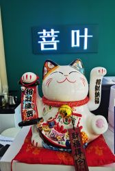 -菩叶脱发白发中心