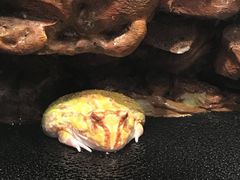 -济南野生动物世界