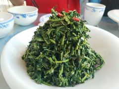 养生枸杞苗-老毛手抓·盐池滩羊非遗手抓(宁夏总店)