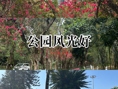 -燕晗山郊野公园