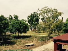 iphone_upload_pic-鹅湖玫瑰文化园
