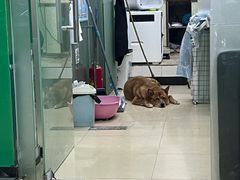 -瑞派动物医院·猫专科·至诚(江南中分院)