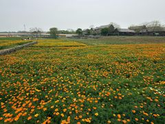 -江苏三台山国家森林公园