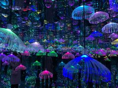 -天津梵高星空艺术馆(天河城旗舰店)