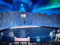 -珠海长隆海洋王国