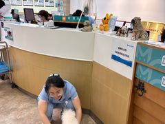 -美联众合动物医院·24h转诊中心