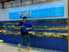 -南戴河国际娱乐中心