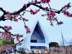 -桃花岛景观公园