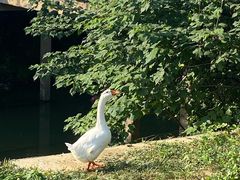 -盛兴面馆(真儒大厦店)