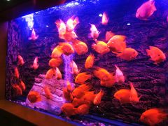 -红星美凯龙(北京北四环店)