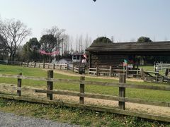 -田园东方蜜桃村的田野营地
