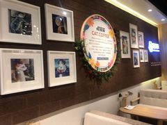 -藏猫猫咖啡主题馆(中央大道店)