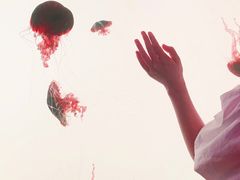 -沈阳海洋探索中心