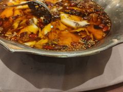 -沸腾鱼乡(知春路分店)