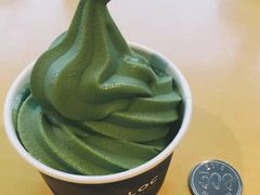 -雪绿茶博物馆
