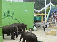 -大连森林动物园